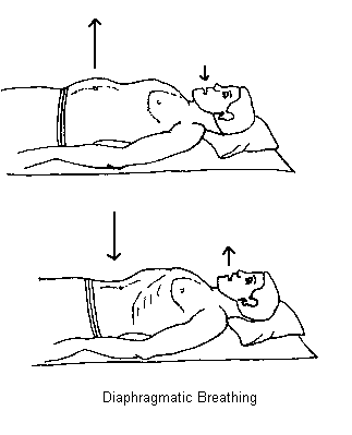 15aa 15aa