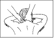 17aa 17aa