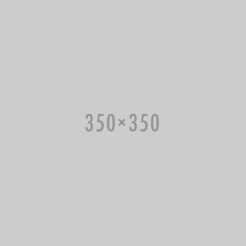 350 350