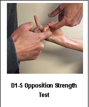 thumb opposition