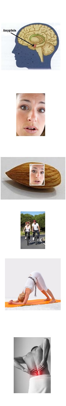 Almond Almond